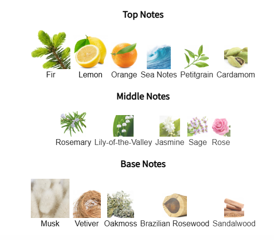 Urban Spirit Eau de Parfum – Inspired by Abercrombie & Fitch Fierce | Kabir Fragrances Kabir Fragrances