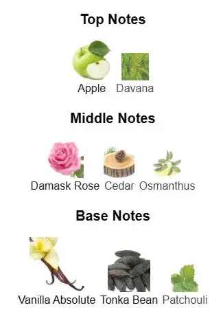 Golden Elixir Eau de Parfum – Inspired by Paco Rabanne 1 Million Elixir | Kabir Fragrances Kabir Fragrances