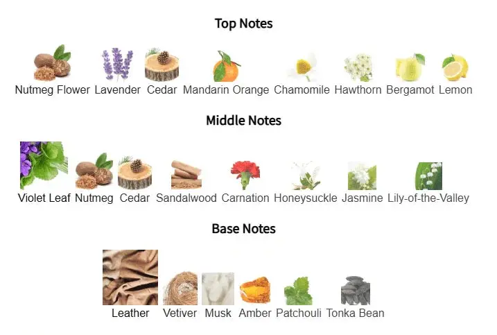 Fahrenheit Blaze Eau de Parfum – Inspired by Dior Fahrenheit | Kabir Fragrances Kabir Fragrances