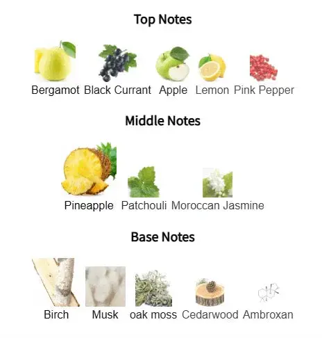 Imperial Essence Eau de Parfum – Inspired by Creed Aventus | Kabir Fragrances Kabir Fragrances