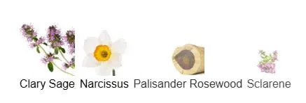 Horizon 24 Eau de Parfum – Inspired by Terre d’Hermès H24 | Kabir Fragrances Kabir Fragrances