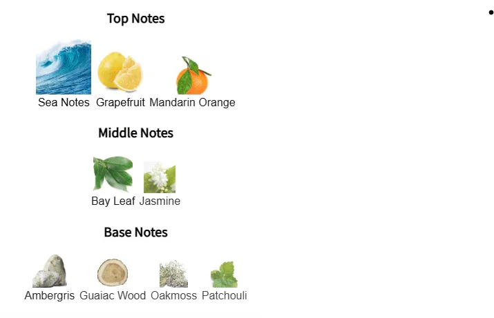 Invictor Eau de Parfum – Inspired by Paco Rabanne Invictus | Kabir Fragrances Kabir Fragrances