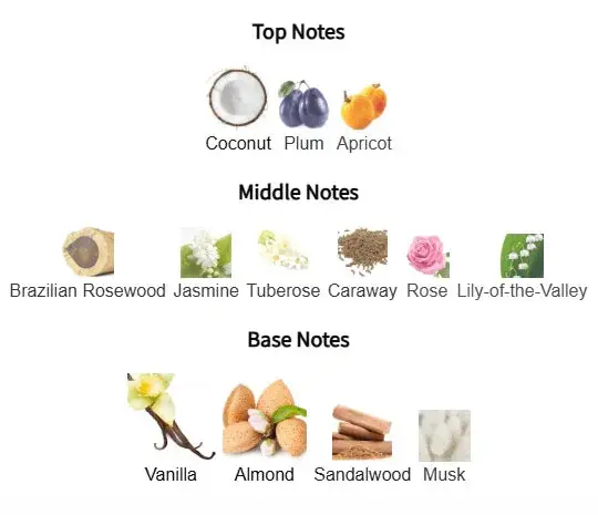 Velvet Poison Eau de Parfum – Inspired by Dior Hypnotic Poison | Kabir Fragrances Kabir Fragrances