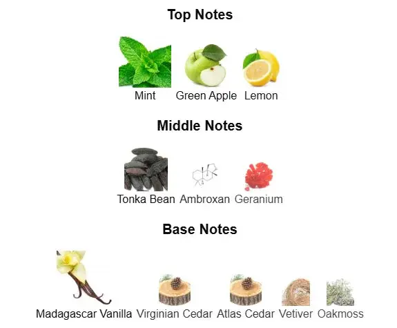 Sea Side by Kabir Fragrances | Long Lasting 12+ Hours | Rich Aromatic Fougere Unisex Perfume | Luxury Fragrance My Store