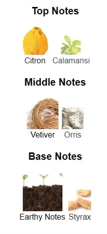 Earth Essence Eau de Parfum – Inspired by Bvlgari Man Terrae Essence | Kabir Fragrances Kabir Fragrances